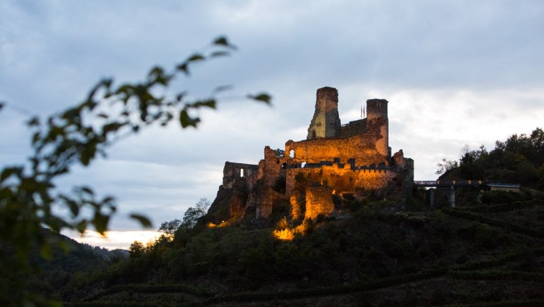 Senftenberg castle ruins summer, © Verein zur Erhaltung der Burgruine Senftenberg