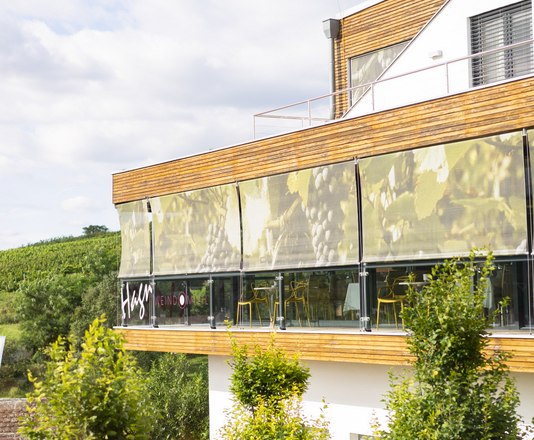 Modern &eacute;p&uuml;let terasszal &eacute;s szőlővel a h&aacute;tt&eacute;rben.