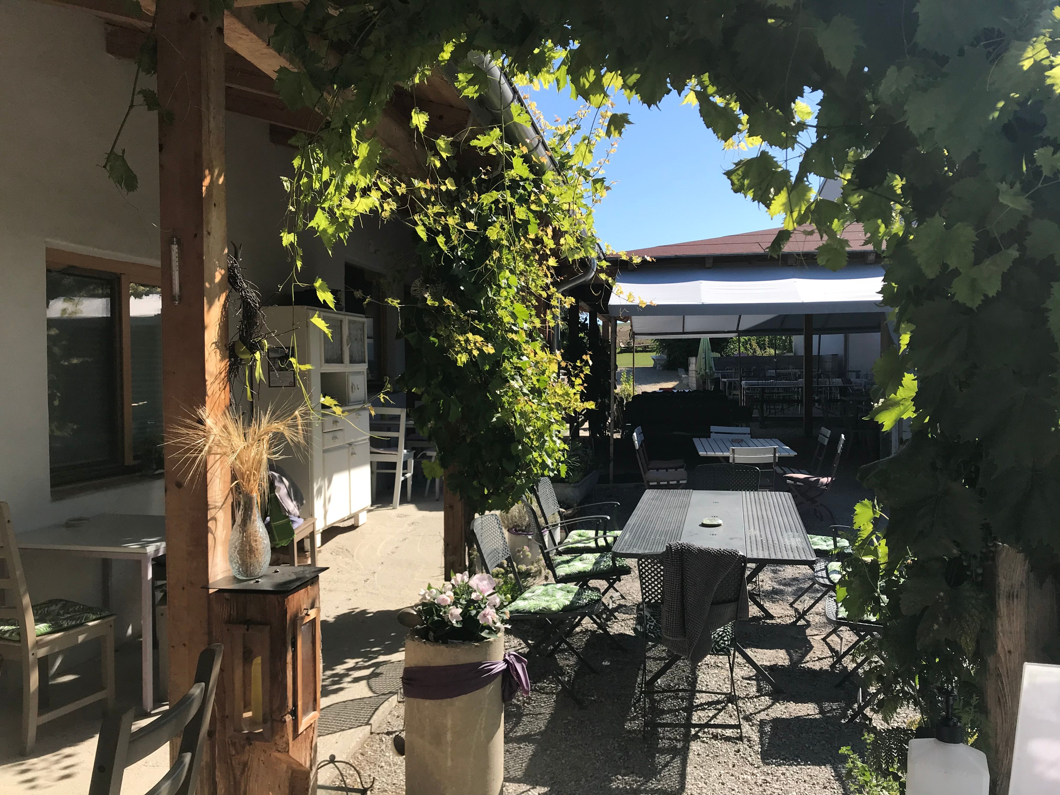 Hangulatos vendégkert asztalokkal és székekkel, zöld szőlővel és napsütéssel körülvéve.