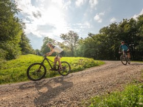 MTB Wienerwald, &copy; Wienerwald Tourismus GmbH / Markus Fr&uuml;hmann