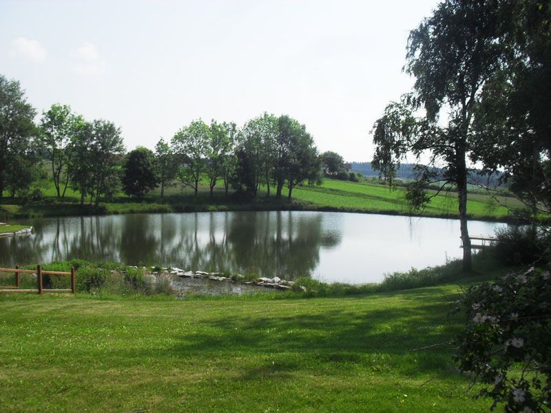 Sallingberg helyi tó