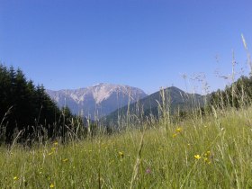 Kaiserebenwiese Puchberg am Schneeberg, &copy; &copy;Monika Gschaider