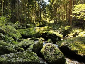 H&ouml;llfall, &copy; Waldviertel Tourismus, weinfranz