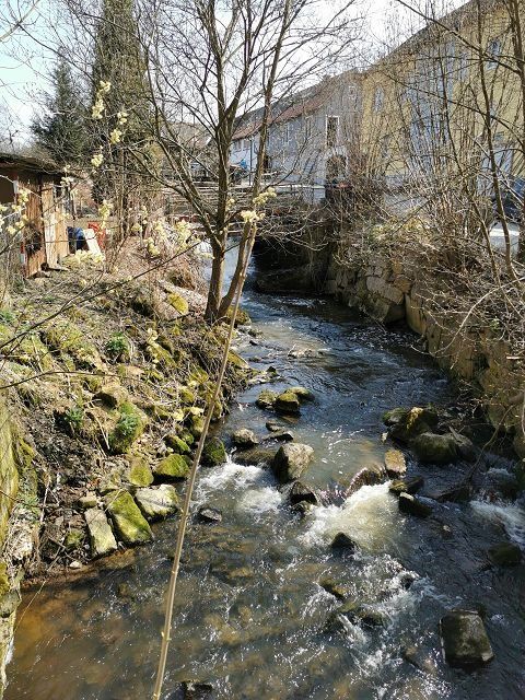Heidenreichstein–Romaubach