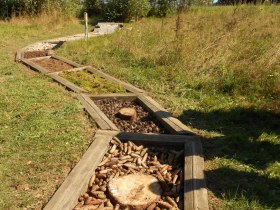 Fu&szlig;reflexzonenpfad im Naturpark, &copy; Margit Weikartschl&auml;ger