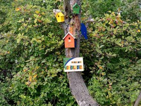 Vogerlhotel Parapluiberg, &copy; Walter Pernikl