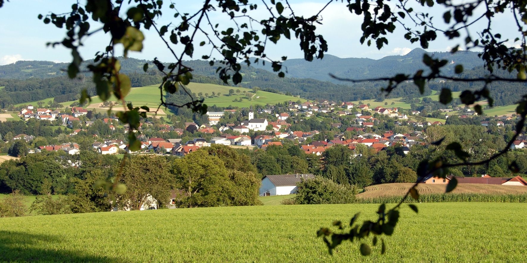 Oberndorf an der Melk panorámája zöld mezőkkel és dombokkal a háttérben.