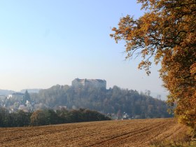 Buchbergsicht auf Burg Neulengbach, &copy; Wienerwald