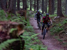 Almrauschtrail by Wexl Trails #8a, &copy; Wexl Trails