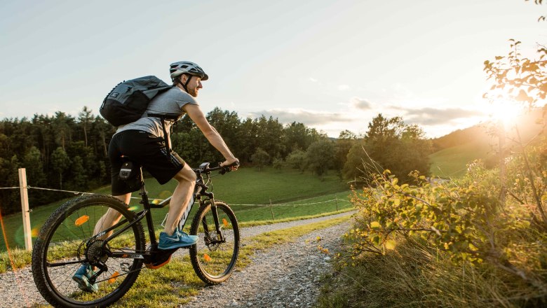 Szobaajt&oacute;-szőlőhegy-pincesor 1,5 &oacute;r&aacute;ban , &copy; schwarz-koenig.at