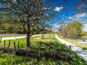 Fr&uuml;hling_BadErlach_28(c)MarktgemeindeBadErlach_HaraldWrede, &copy; Marktgemeinde Bad Erlach, Harald Wrede