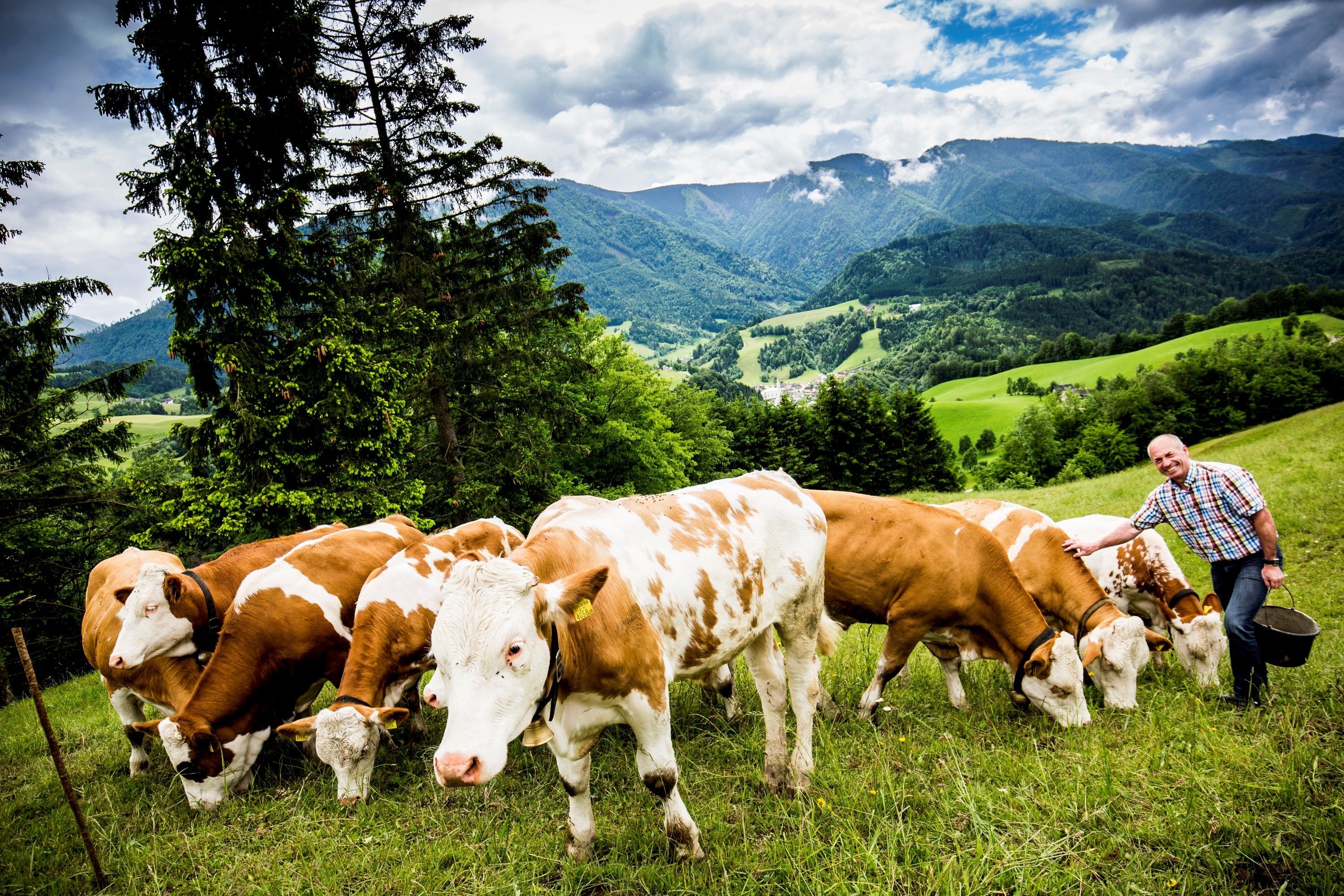 Biofarm Hinterstockreith