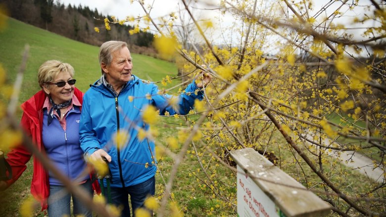 Weinburg nature trail, &copy; weinfranz.at