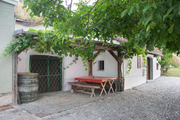 Hagyományos borospince, fa asztallal és boroshordóval, zöld levelekkel körülvéve.