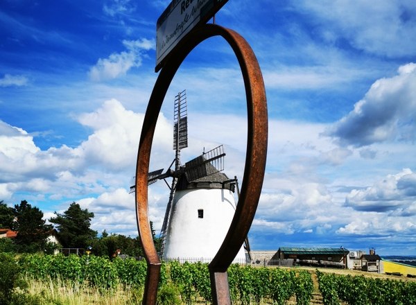 Key experience with a view of the windmill, &copy; Weinstra&szlig;e Weinviertel