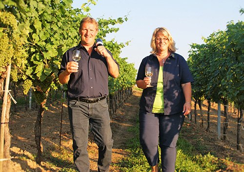 Viticulture Parisch, &copy; Weinbau Parisch