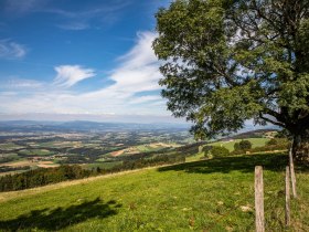 Ausblick Hochkogel, &copy; Theo Kust