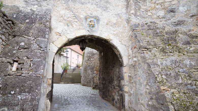 Hainburg121022_2, © Barbara Elser