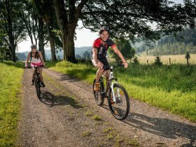 Mountainbiken im Waldviertel, © © Waldviertel Tourismus, Studio Kerschbaum