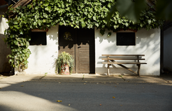 Hadresi pincesor fehér házakkal és szőlővel.