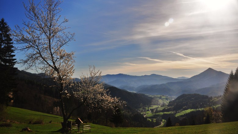 View of Türnitz, © Größbacher Hubert