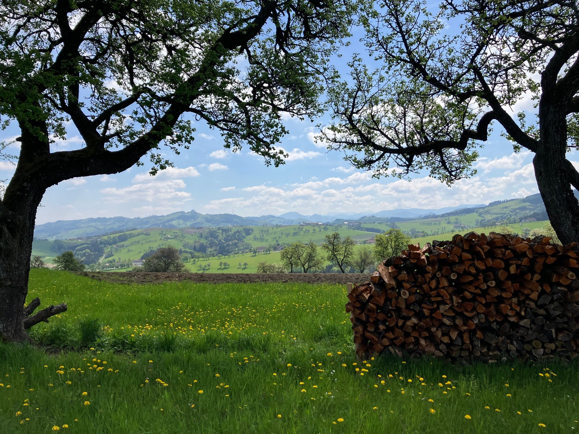 Kilátás a tájra a Fröschlauwegről