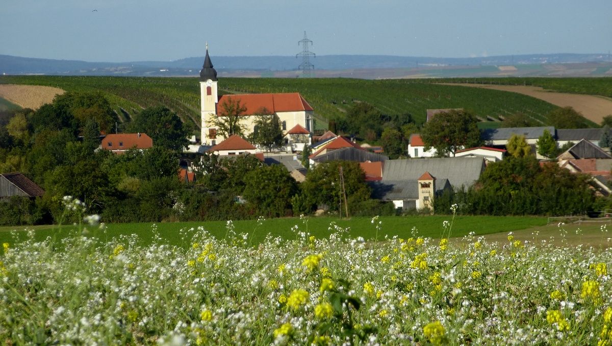 Kilátás egy templomos, piros tetős falura, amelyet zöld mezők és dombok vesznek körül.