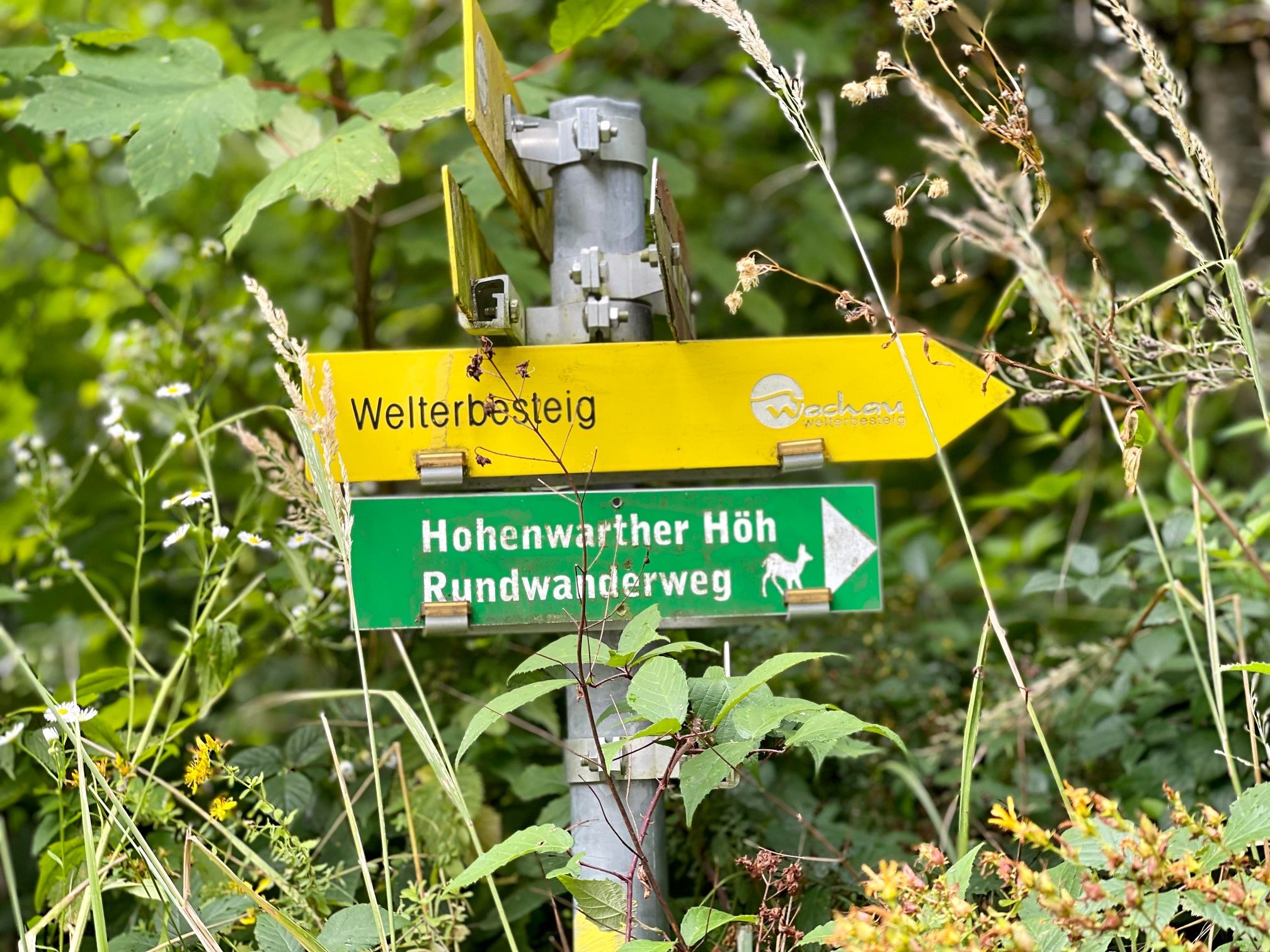 Hohenwarter Höh jelölése