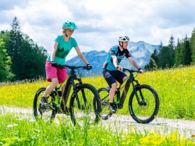 MTB_E-Bike_2, &copy; Wolfgang Wutzl