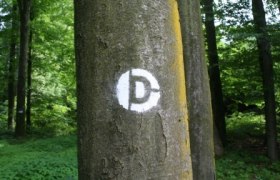 Sprühmarkierung Dunkelsteinerwald-Runde, © Unknown