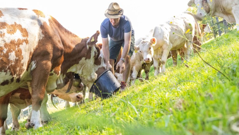 Organic farm Phyrabauer, © Theo Kust