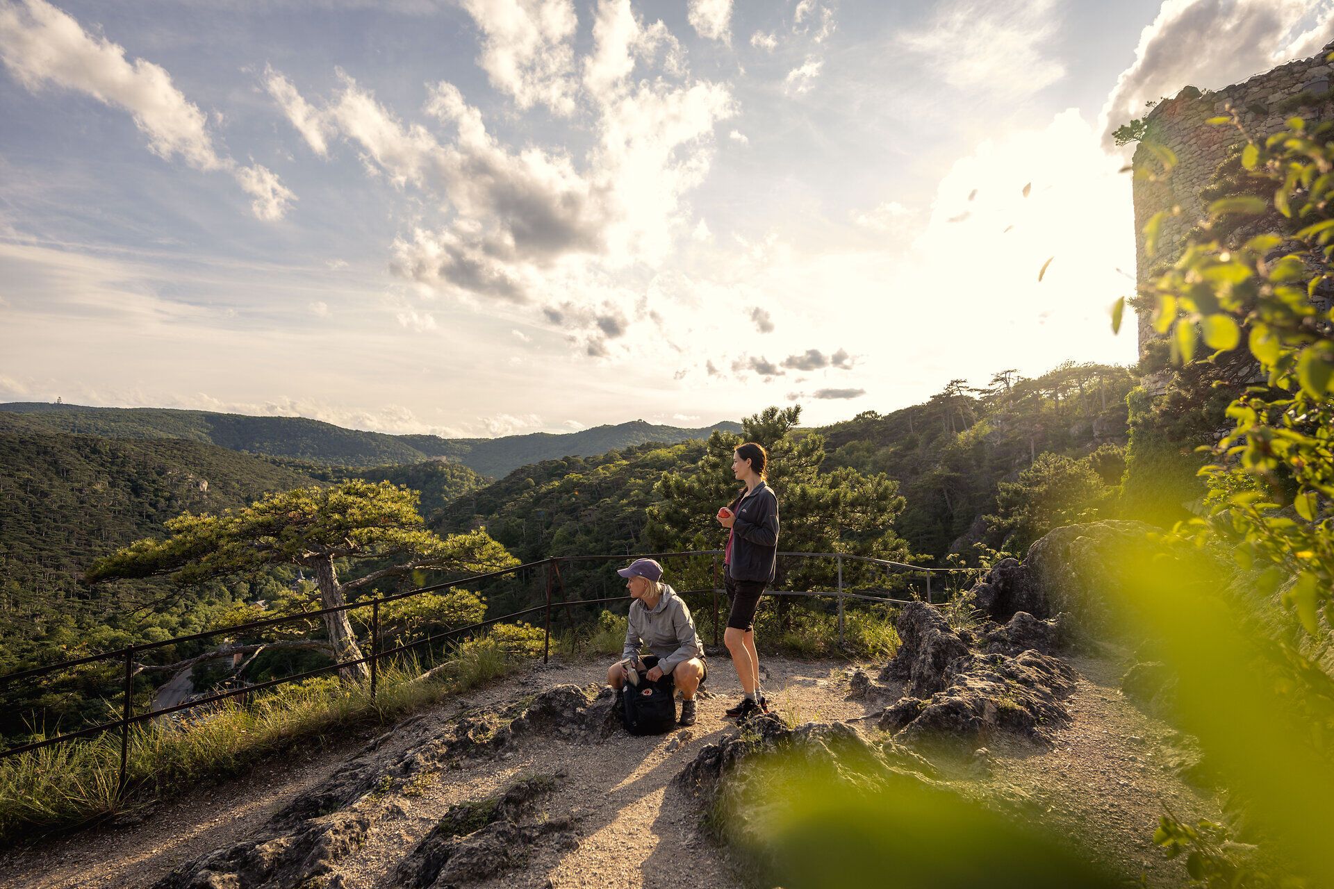 A Bécsi-erdő dombjai méltóságteljesen húzódnak a háttérben, miközben a nap meleg sugarai átölelik a kirándulókat. Az illatos fenyőfák és a természet megnyugtató hangjai által körülvett hely arra hívogat, hogy lazítson és élvezze a lélegzetelállító kilátást.