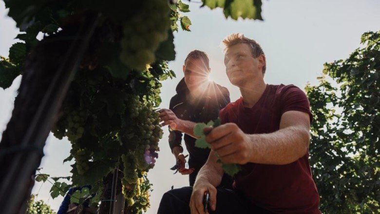 Altenriederer gy&uuml;m&ouml;lcsfarm, &copy; Monika Jungwirth, Karma & Pitch