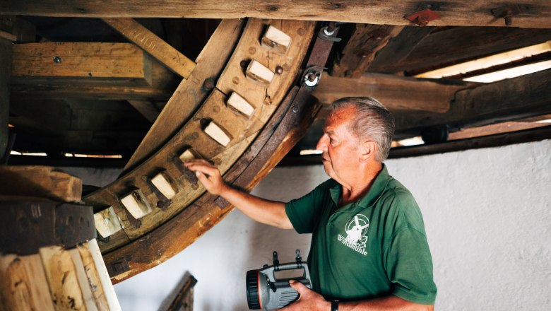 Euro Velo 13 Windm&uuml;hle Retz Mann WTG Gollner 4, &copy; Weinviertel Tourismus / Gollner