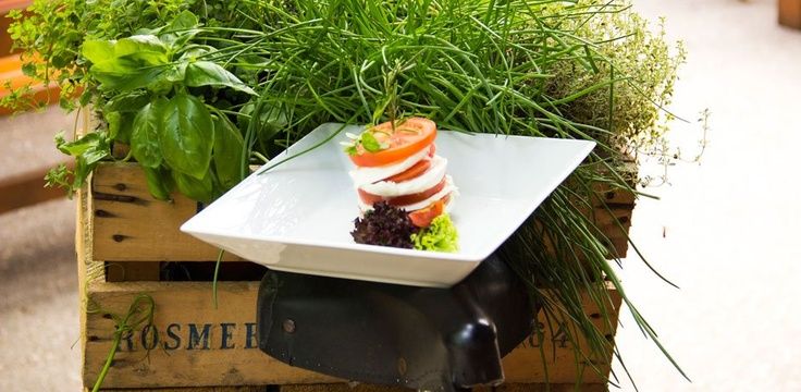 Egy tányér paradicsom- és mozzarella-saláta fadobozban, friss fűszernövényekkel.