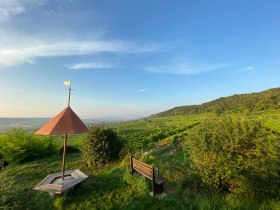 Aussicht vom Parapluiberg, &copy; Walter Pernikl