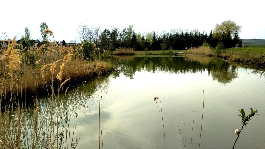 Watzelsdorf vízi világ