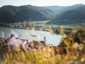 Blick auf D&uuml;rnstein, &copy; Wachau-Nibelungengau-Kremstal