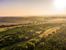 Herbstlandschaft Wagram, &copy; Donau Nieder&ouml;sterreich - Kamptal-Wagram-Tullner Donauraum