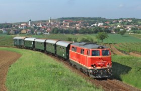 Phylloxera Express, © NB Minibauer
