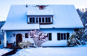 Country house in winter, &copy; Peter Wochesl&auml;nder