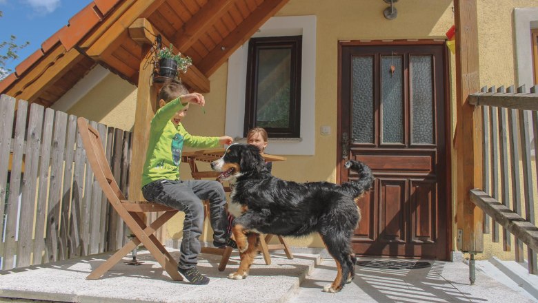 apartment-3, &copy; Ferienwohnung