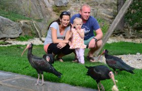 Northern Bald Ibis aviary, &copy; Waldrapp Voliere
