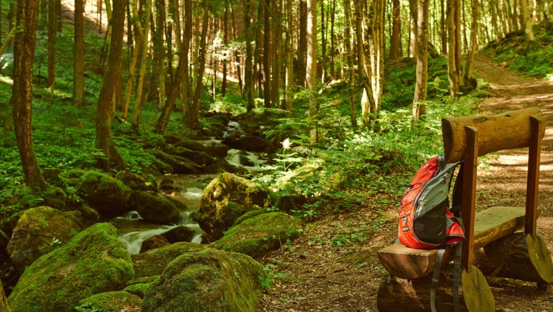Refreshing coolness in the Steinbachklamm gorge, © Klaus Engelmayer