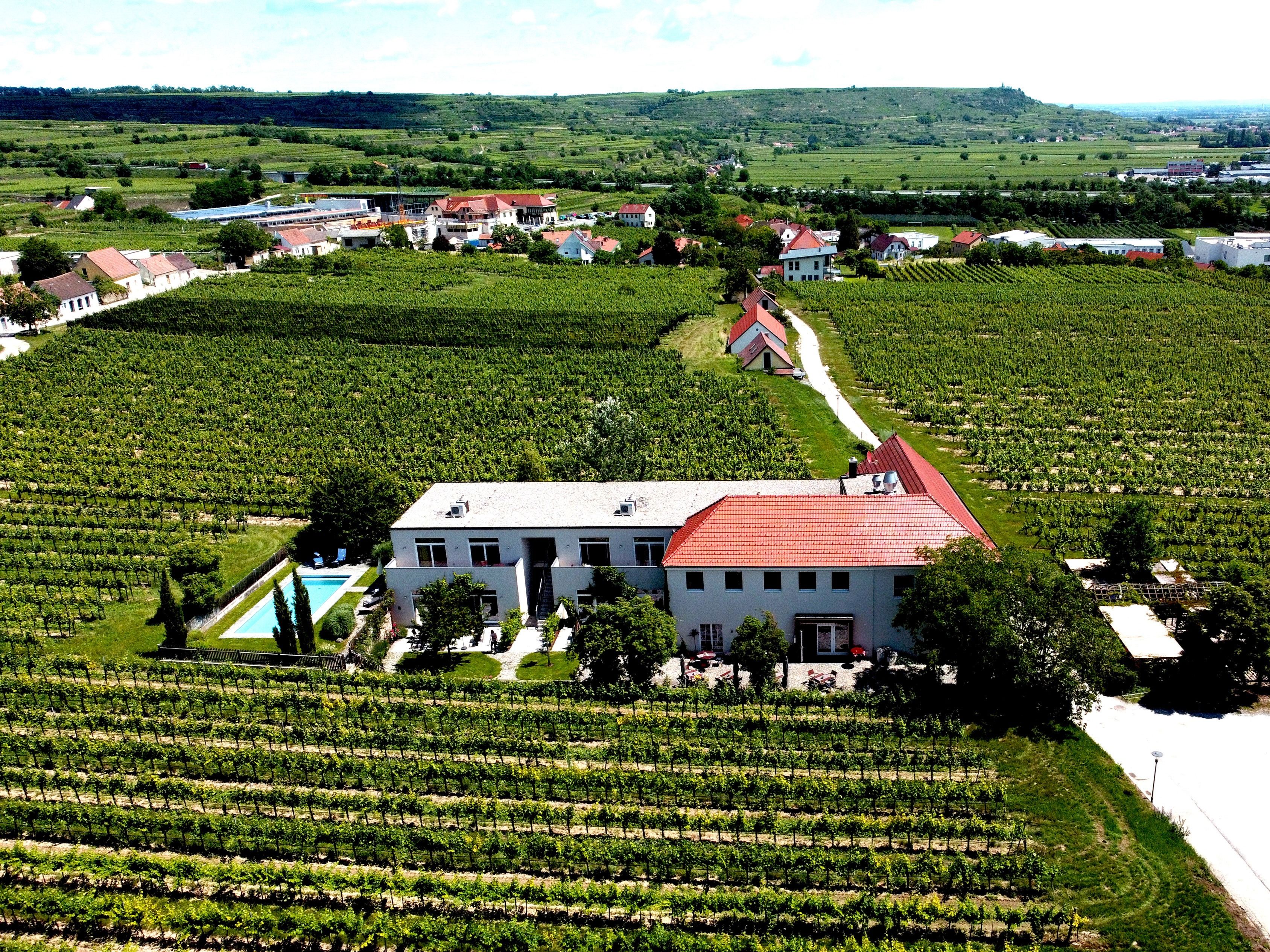 Légi felvétel egy szőlőültetvényekkel körülvett fogadóról.