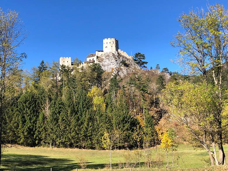 Losenheim romja egy dombon, előtérben fákkal.