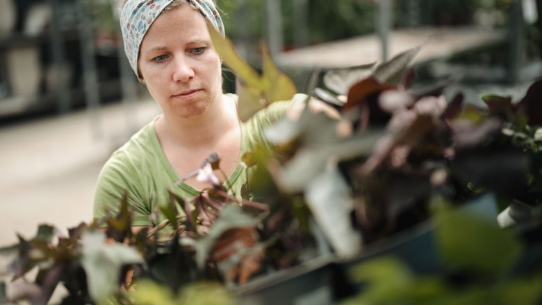 Starkl kalandkert, &copy; Moststra&szlig;e, dochbodnliacht