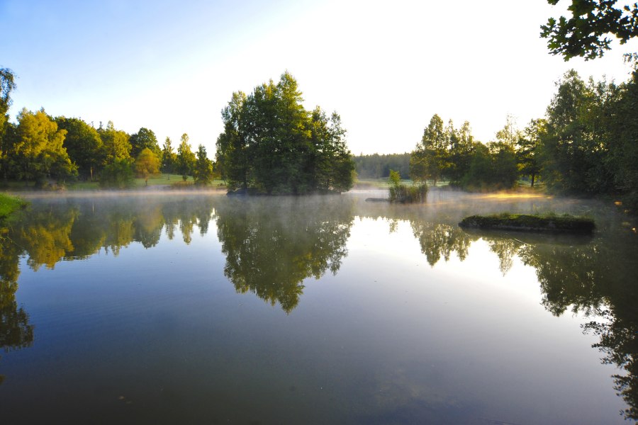 Blockheide Natúrpark, © Naturparke Niederösterreich/Robert Herbst