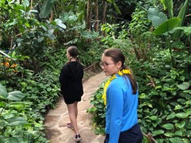 Pillang&oacute;szafari a tattendorfi pillang&oacute;vil&aacute;gban, &copy; Wienerwald Tourismus GmbH