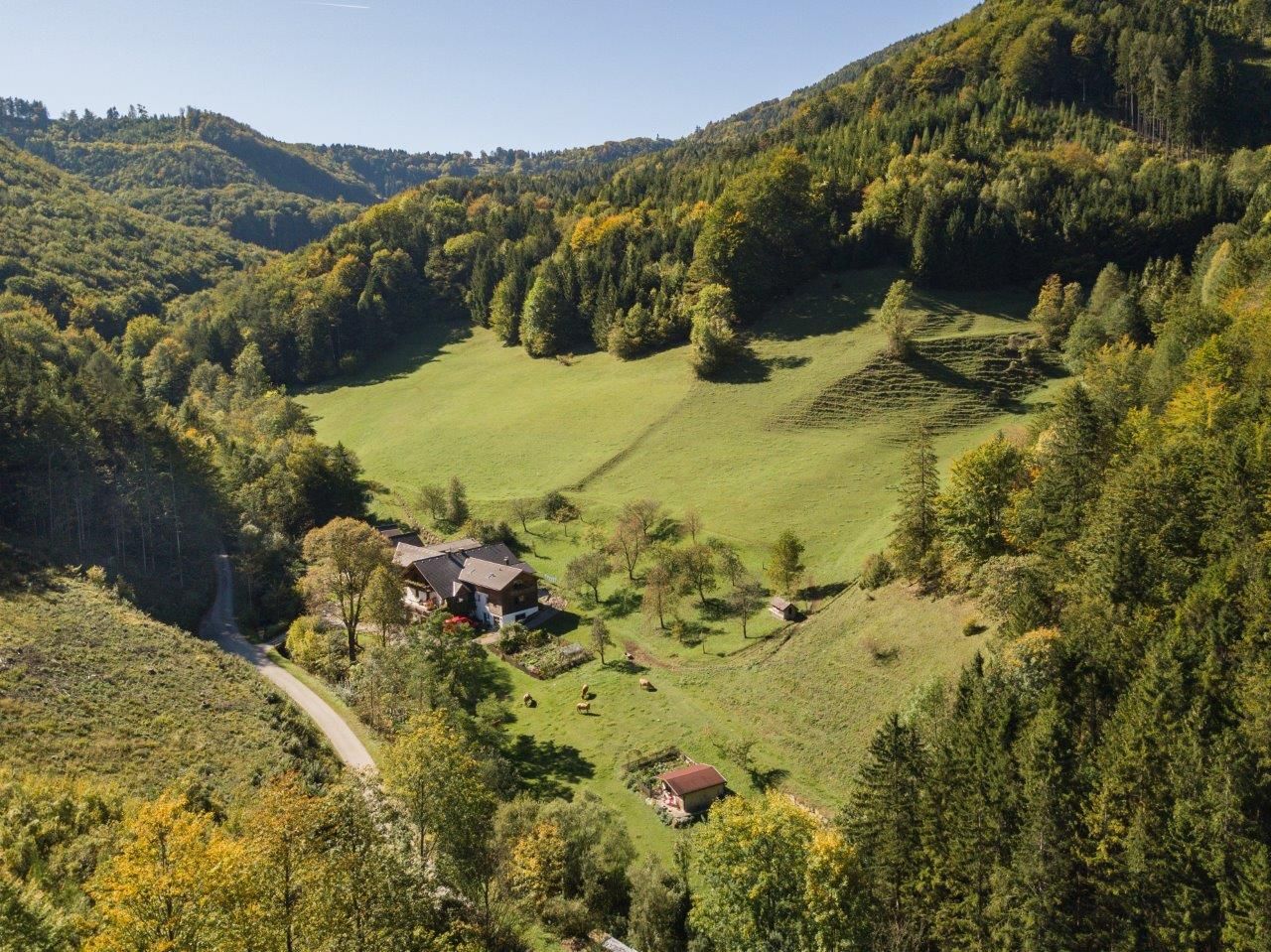 biofarm_lueg_az_erdő_közepén